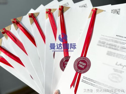 最快2天出件 新加坡材料移民爱尔兰做新加坡海牙认证